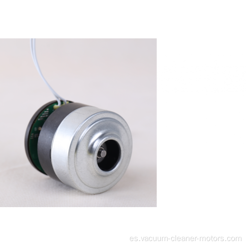 Aspiradora Bldc Motor Seco